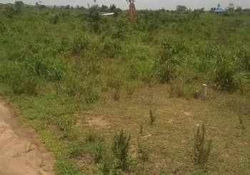 Land For Sale In Oron LGA, Akwa Ibom